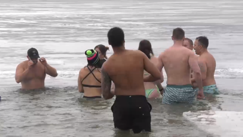 Cold plungers plunging into Kempenfelt Bay in Barrie on Mon. March 2, 2024  (CTV News/Mike Lang)
