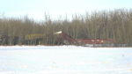 Part of a Canadian National Railway train derailed near Poundmaker Road and Veness Road in St. Albert the morning of March 4, 2024. (Evan Klippenstein / CTV News Edmonton)