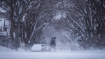 A person bundled up for the cold weather walks through blowing snow in Regina, on Sunday, March 3, 2024. (Darryl Dyck/The Canadian Press)