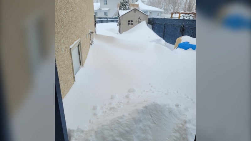"This loomed between me and my snow blower on Sunday, March 3, Laurie Michalycia told CTV News (Courtesy: Laurie Michalycia)
