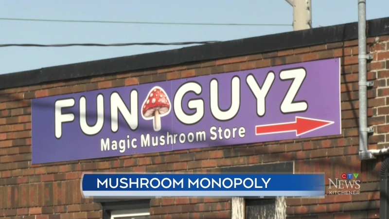 Magic mushroom shop to open in Kitchener 