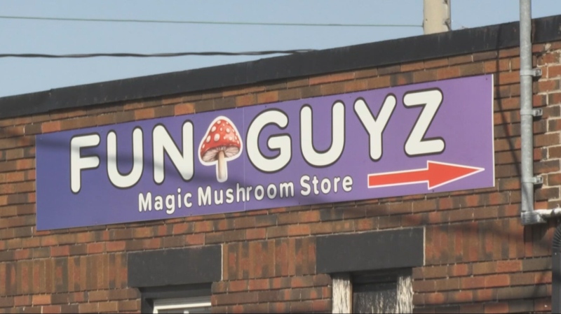 Signage for a magic mushroom shop seen in Kitchener. (CTV News/Tyler Kelaher)