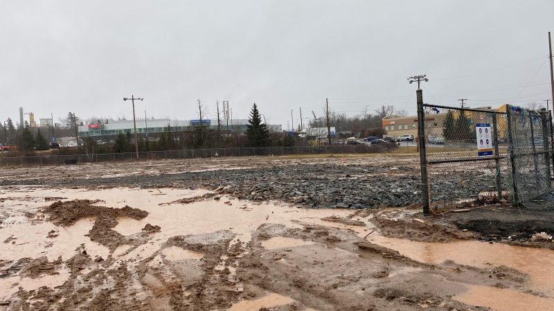 This Lower Sackville, N.S., ballfield will host tiny homes. (Stephanie Tsicos/CTV News Atlantic)