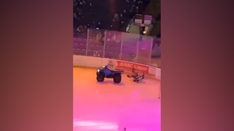 A screenshot of the viral video, where Rocky the Raccoon backed into the rink’s boards. (Credit: Instagram/KelownaRocketsWHL)

