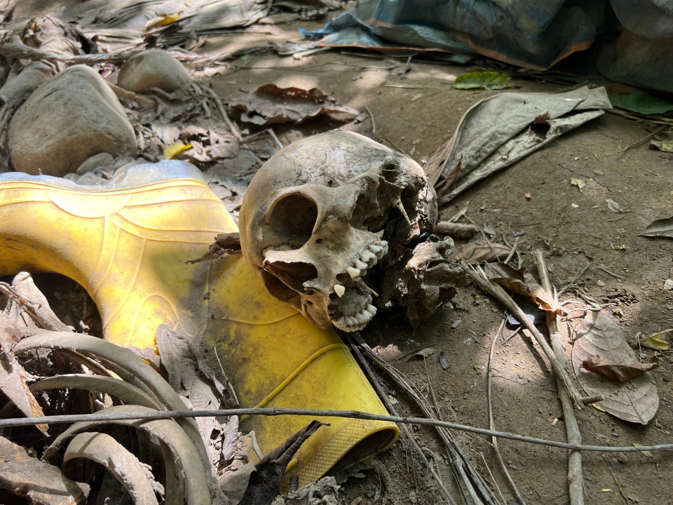 Skull remains in the Darien Gap