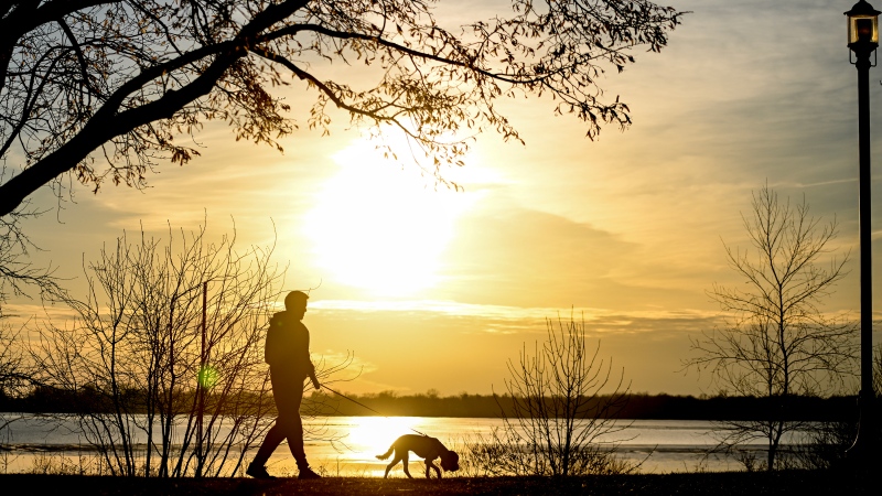 The sun sets behind a person as they walk their dog along Lac Saint-Louis in Montreal on a mild winter day on  Sunday, March 3, 2024 (Graham Hughes/The Canadian Press)