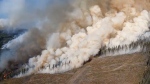 Early wildfire season expected in B.C. 