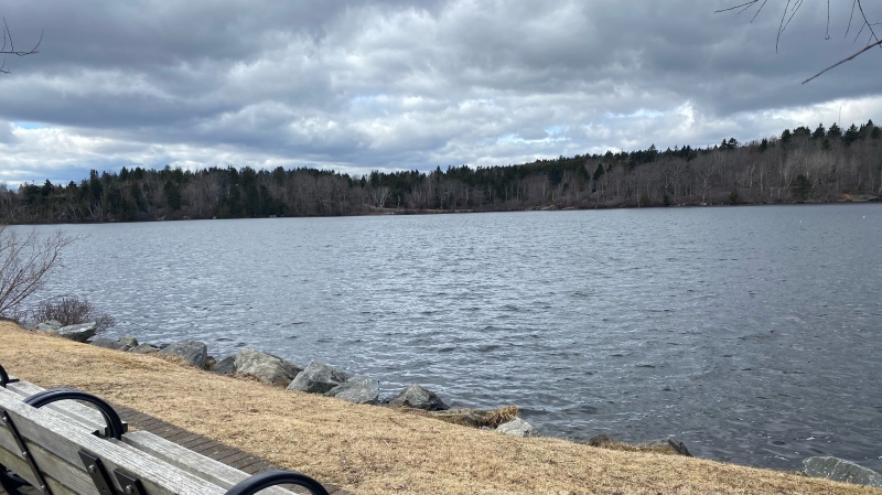 Rockwood Park’s Lily Lake in Saint John, N.B., is pictured. (Avery MacRae/CTV News Atlantic)