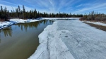 This image from North Glenmore Park was sent in by Tab Gangopadhyay on Tuesday, March 19, 2024.