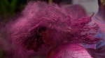 A girl shakes her head, smeared with colored powder, as people celebrate Holi, the festival of colors, in Mumbai, India, Monday, March 25, 2024. (AP Photo/Rafiq Maqbool)