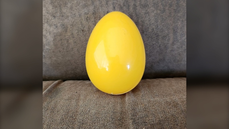 A golden egg that was hidden by Frances Hall as part of a city-wide Easter egg hunt, on March 24, 2024. (Frances Hall)