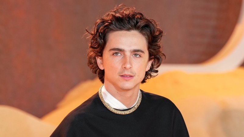Timothee Chalamet arrives at the world premiere of the film "Dune: Part Two" in London on Feb. 15, 2024. (Photo by Scott A Garfitt/Invision/AP)
