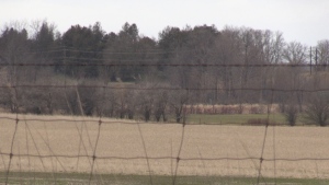 Some of the land the Region of Waterloo is trying to purchase in the Township of Wilmot on March, 26, 2024. (Colton Wiens/CTV Kitchener)