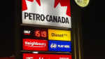 Gas was priced at $1.519/L at a Petro-Canada in West Link Park in Edmonton on March 27, 2024. (Evan Klippenstein / CTV News Edmonton) 