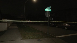 According to the Surrey RCMP, officers responded to a report of gunshots on Richardson Drive near 85 Avenue and Greenway Drive at 10:44 p.m. (CTV)