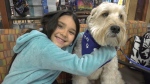 PALS dogs visit the Peter Lougheed Centre in Calgary on Tuesday, March 26, 2024. 