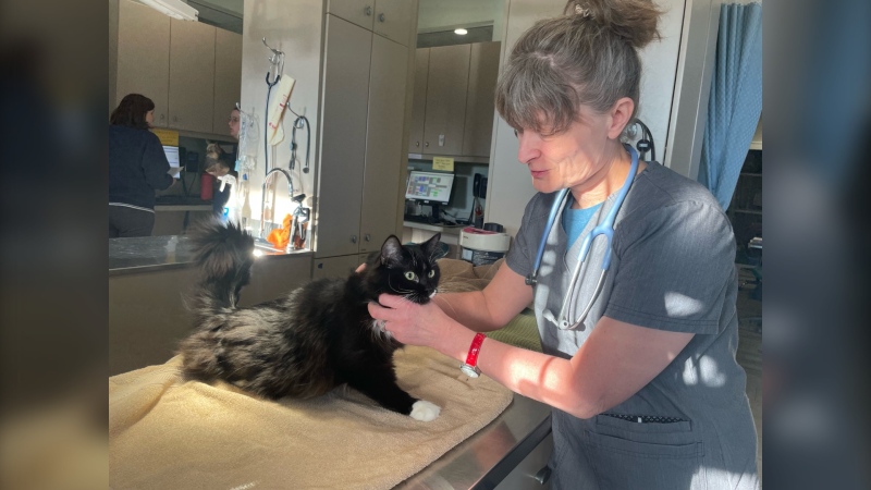 Vivienne Jones, veterinarian and owner of Erindale Animal Hospital poses with a client on March 27, 2024. (Stacey Hein / CTV News)