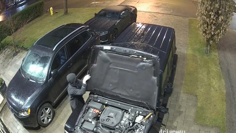 Suspects caught attempting to steal vehicle