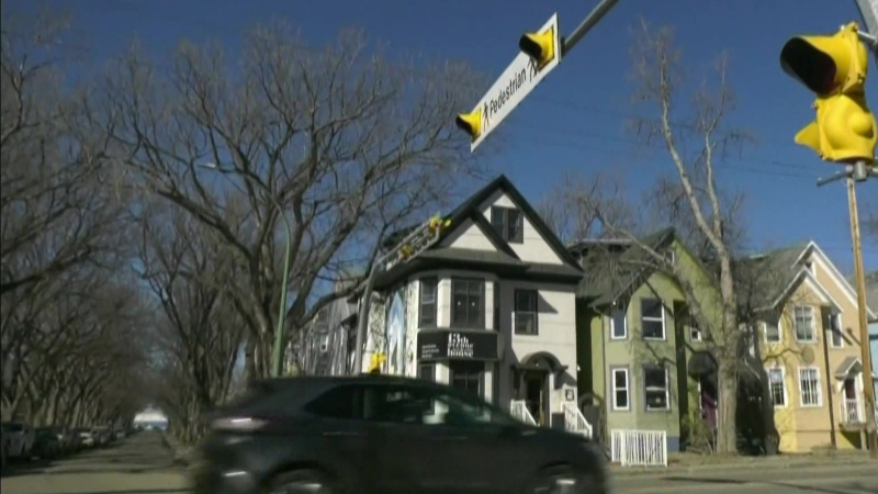 WATCH: Regina’s Cathedral neighbourhood could soon