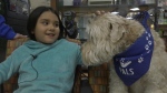 Therapy dogs help hospital patients