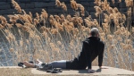 A man relaxes by the Lachine Canal on a mild spring day in Montreal, Sunday, April 9, 2023. (Graham Hughes, The Canadian Press)