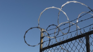 Barbed wire is seen on a fence in this file photo. (Shutterstock.com)