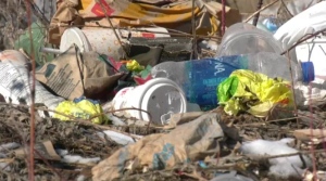 A pile of litter in Winnipeg on March 28. 2024  (Scott Andersson/CTV News Winnipeg)