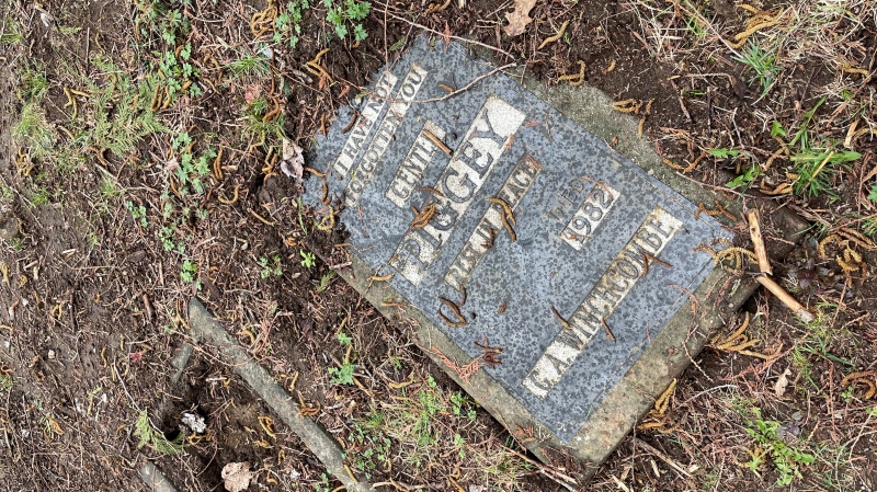 Only one headstone remains in a Surrey, B.C., pet cemetery that's being redeveloped. 