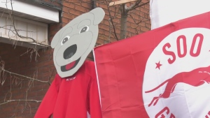 A wooden cutout of Soo Greyhounds mascot, Dash, that local resident Lee Matthews made himself. (Cory Nordstrom/CTV News Northern Ontario)