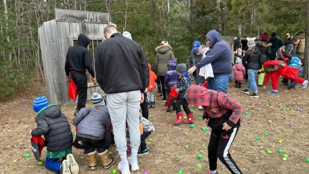 Kids and their parents hunt for eggs at Drysdale's annual Easter Egg Hunt in Egbert, Ont. on Fri. March 29, 2024 (CTV News/Mike Lang)