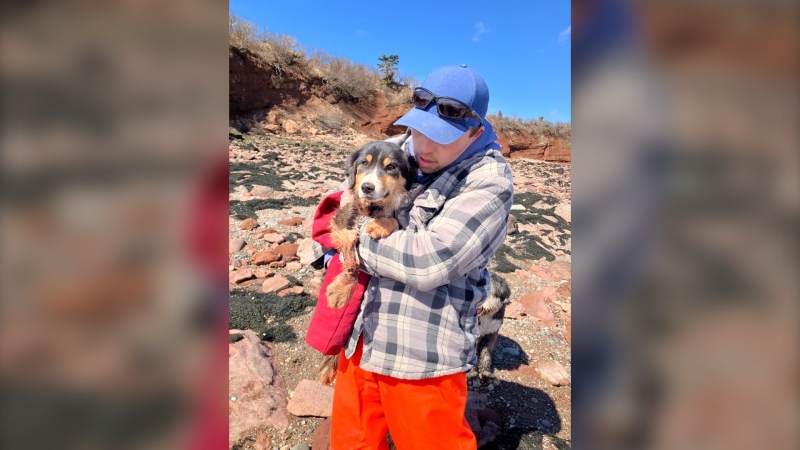 Tyler Rossiter holds Penny, who survived nearly a month on a cliff. (Courtesy: Tyson Rossiter)