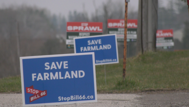 Expropriation protest signs in Wilmot Township on April 4, 2024. (Chris Thomson/CTV Kitchener)