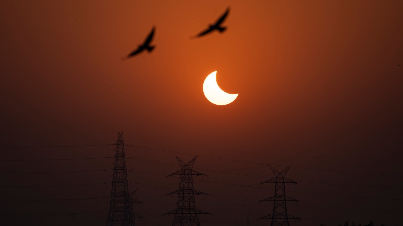 Eagles fly past a partial solar eclipse in New Delhi, India, Tuesday, Oct. 25, 2022. THE CANADIAN PRESS/AP-Altaf Qadri