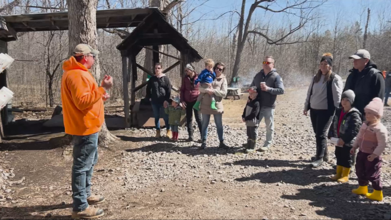 Families came to celebrate the end of the sugar bush season at The Log Farm. April 7, 2024 (Sam Houpt/CTV News)