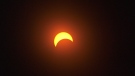 The partial phase of the total solar eclipse over Florenceville-Bristol, N.B., on April 8, 2024. (Nick Moore/CTV)