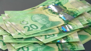 Several $20 bills. (Source: CTV News Atlantic)