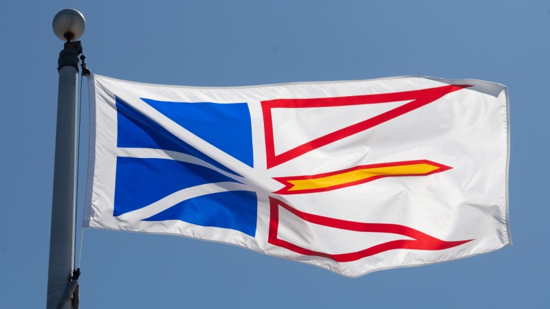 Newfoundland and Labrador's provincial flag flies on a flag pole in Ottawa on July 6, 2020. THE CANADIAN PRESS/Adrian Wyld