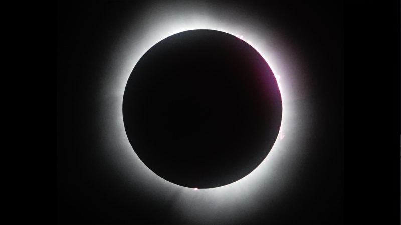 A picture of the solar eclipse phases taken in Van Buren, Ohio, U.S.A., on April 8, 2024. (Source: Steve Biro)