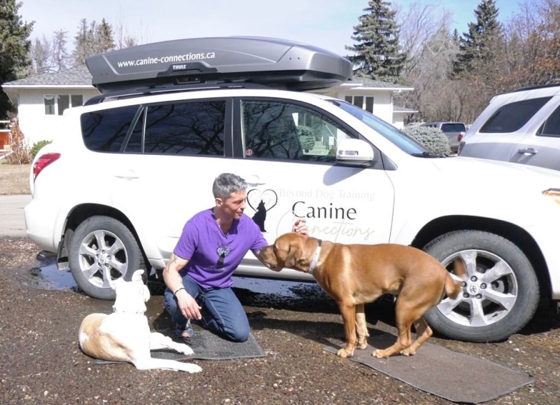 David Magnussen is a dog behaviourist. (Carla Shynkaruk / CTV News)