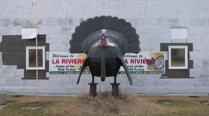 The statue of Tom the Turkey in La Riviere is seen on April 8, 2024. (Jon Hendricks/CTV News Winnipeg)