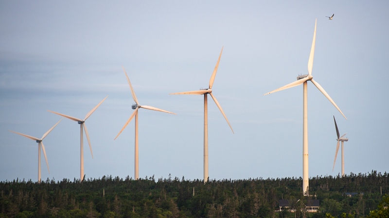 The West Pubnico Point Wind Farm is seen in Lower West Pubnico, N.S. on Monday, Aug. 9, 2021.  (THE CANADIAN PRESS/Andrew Vaughan)