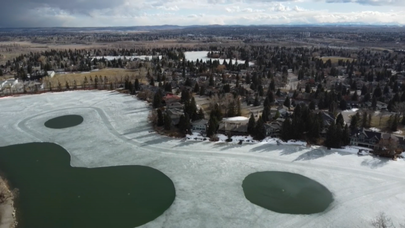Homes in Lake Bonavista are seen in this undated drone photo. (CTV News) 