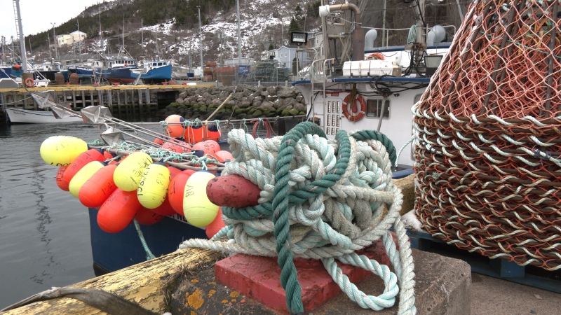 Last year, fish harvesters left their boats tied up for six weeks. (CTV News)