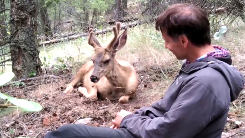 B.C. man accepted by deer family