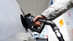 A person pumps gas at a gas station in Mississauga, Ont., on Tuesday, Feb. 13, 2024. THE CANADIAN PRESS/Christopher Katsarov