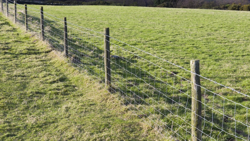 A wire fence is seen in this undated stock image. (Shutterstock)