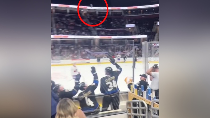 Man saves kid from being hit by puck
