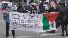 Pro-Palestinian demonstrators stages a sit-in at a bank in Montreal (CTV News)