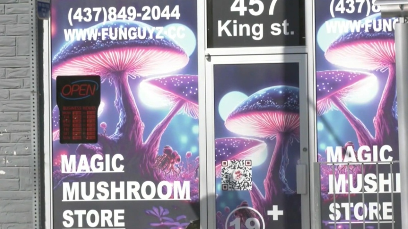 Magic mushroom shops face multiple raids