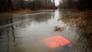 Flooding on Cowichan Tribes land triggered an evacuation order on the weekend for local residents as heavy rain caused the Koksilah River to swell near Duncan, B.C., on Sunday, January 3, 2021. THE CANADIAN PRESS/Chad Hipolito